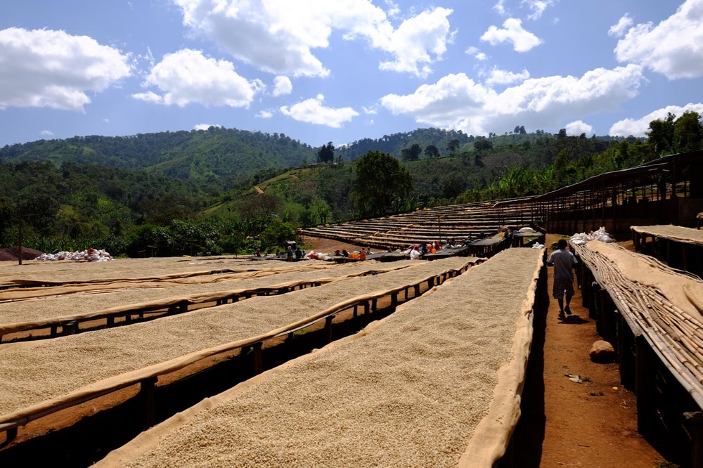 Ethiopia Haro Sorsa Eastbrew Coffee Ethiopia Haro Sorsa Eastbrew Coffee